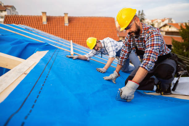 Best Green or Eco-Friendly Roofing Solutions  in Brighton, MI